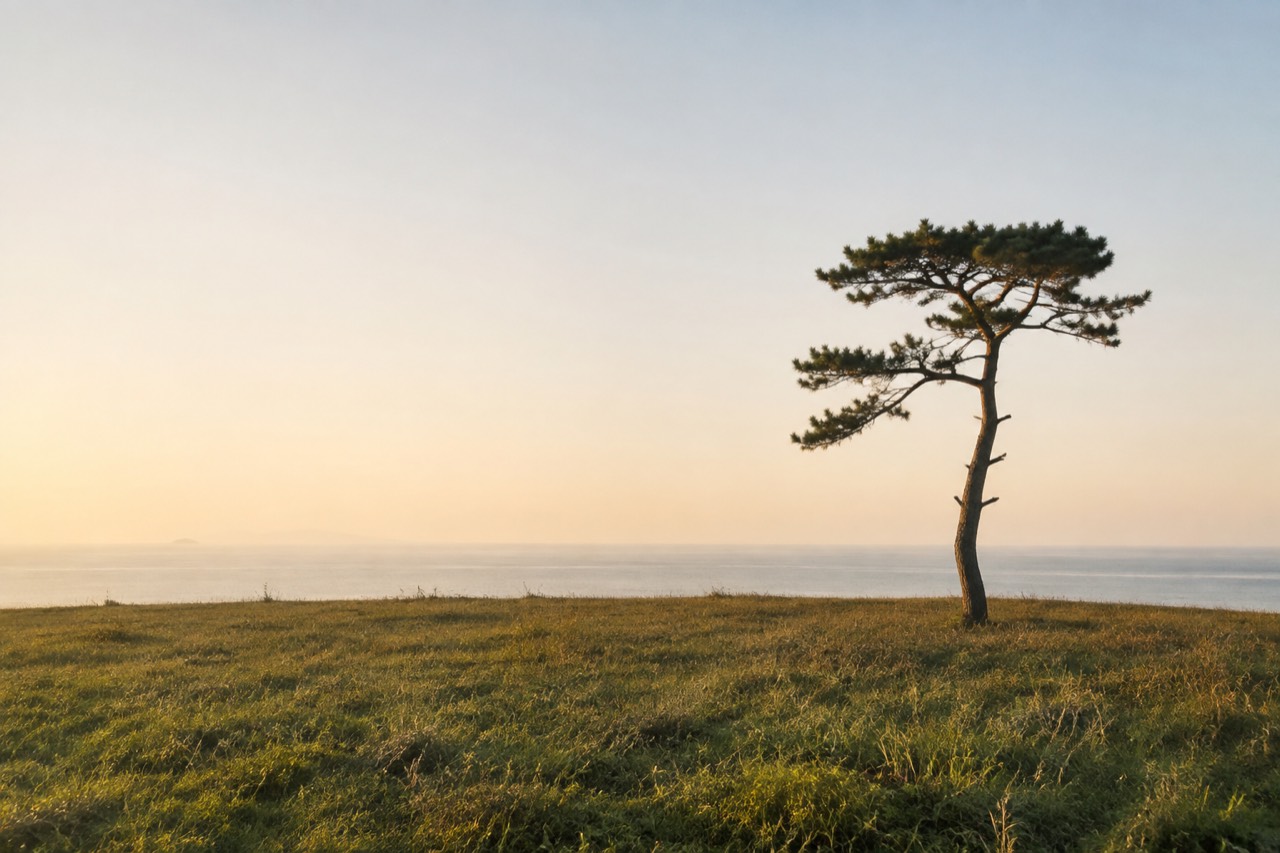 바닷가 지평선을 화면 아래쪽 삼분선에 두고 소나무를 오른쪽 세로 삼분선에 배치한 구도 예시